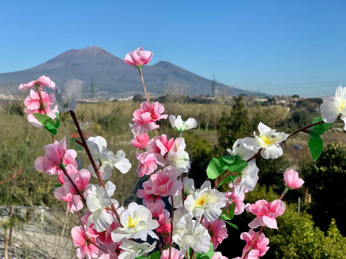 Villa Valentino Pompeji Buitenkant foto
